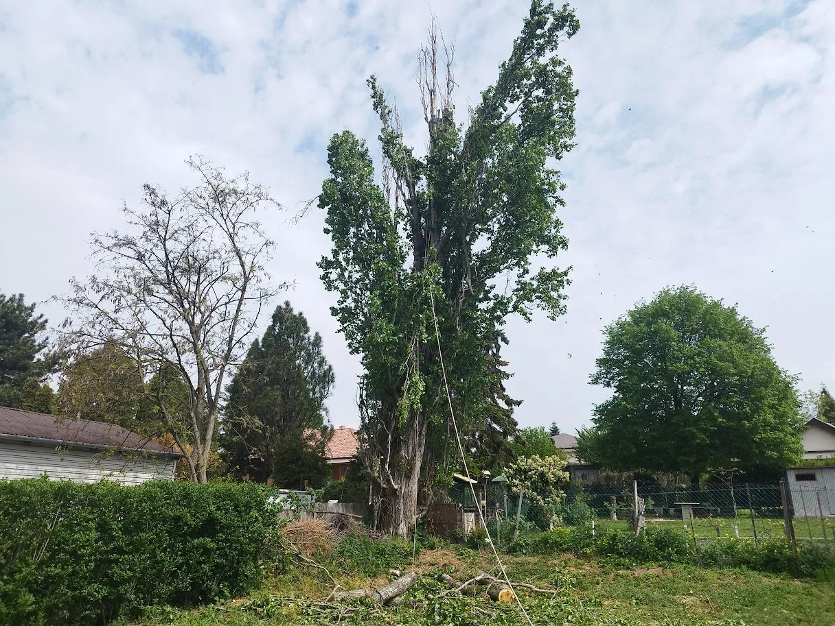 Projekt 2